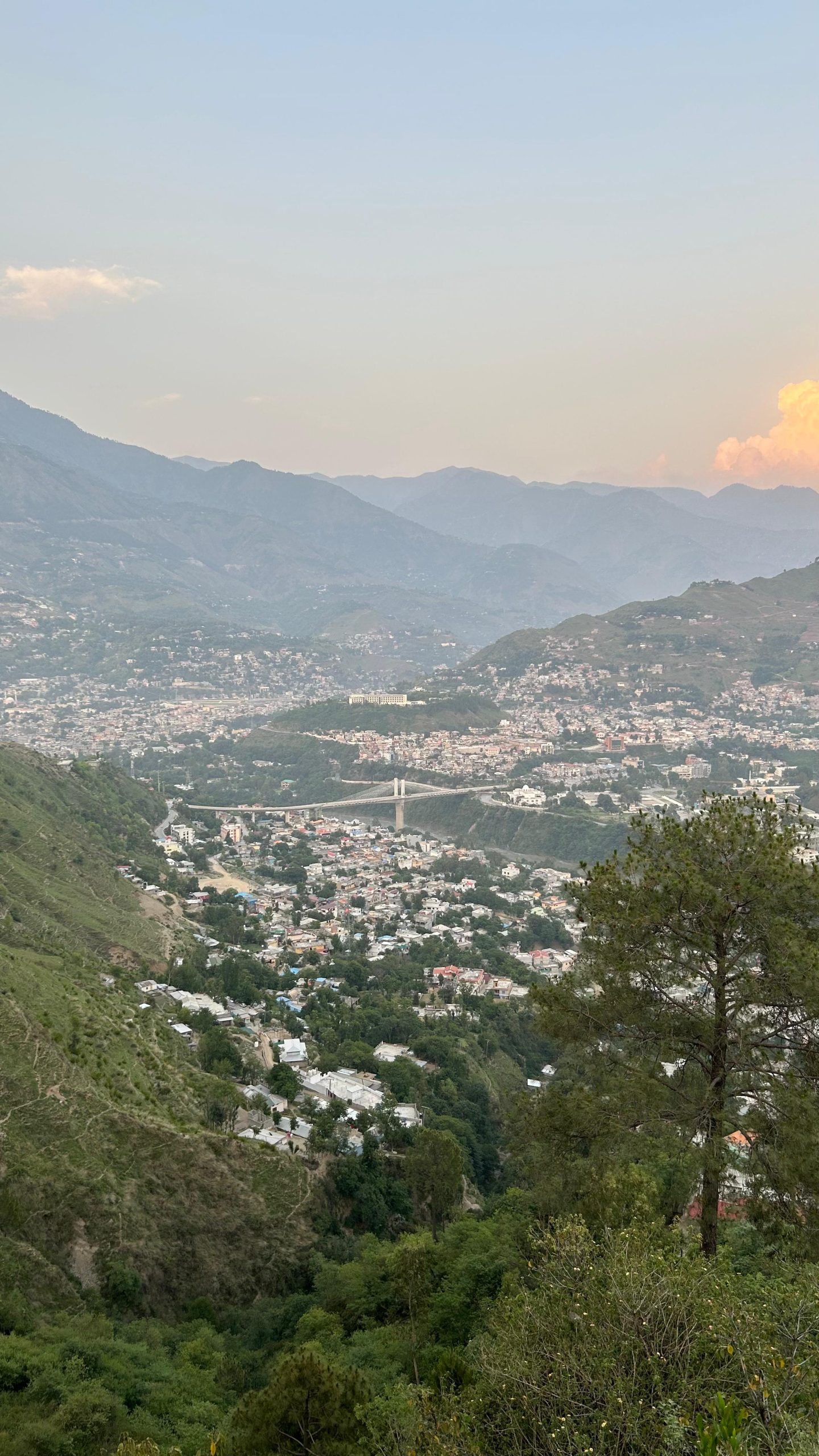 Kashmir Shogran